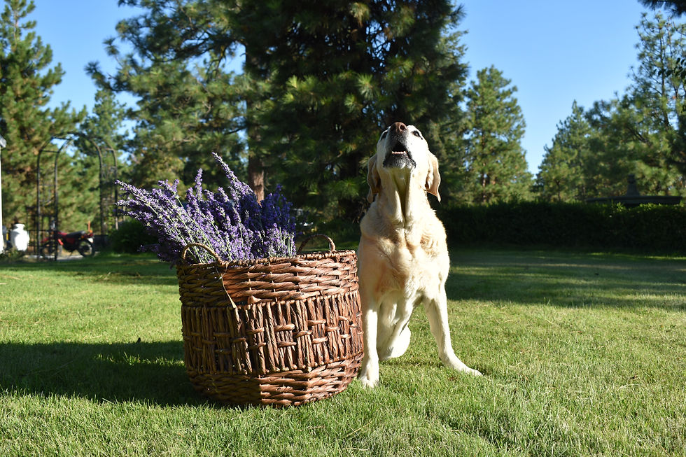 She just don't stop!