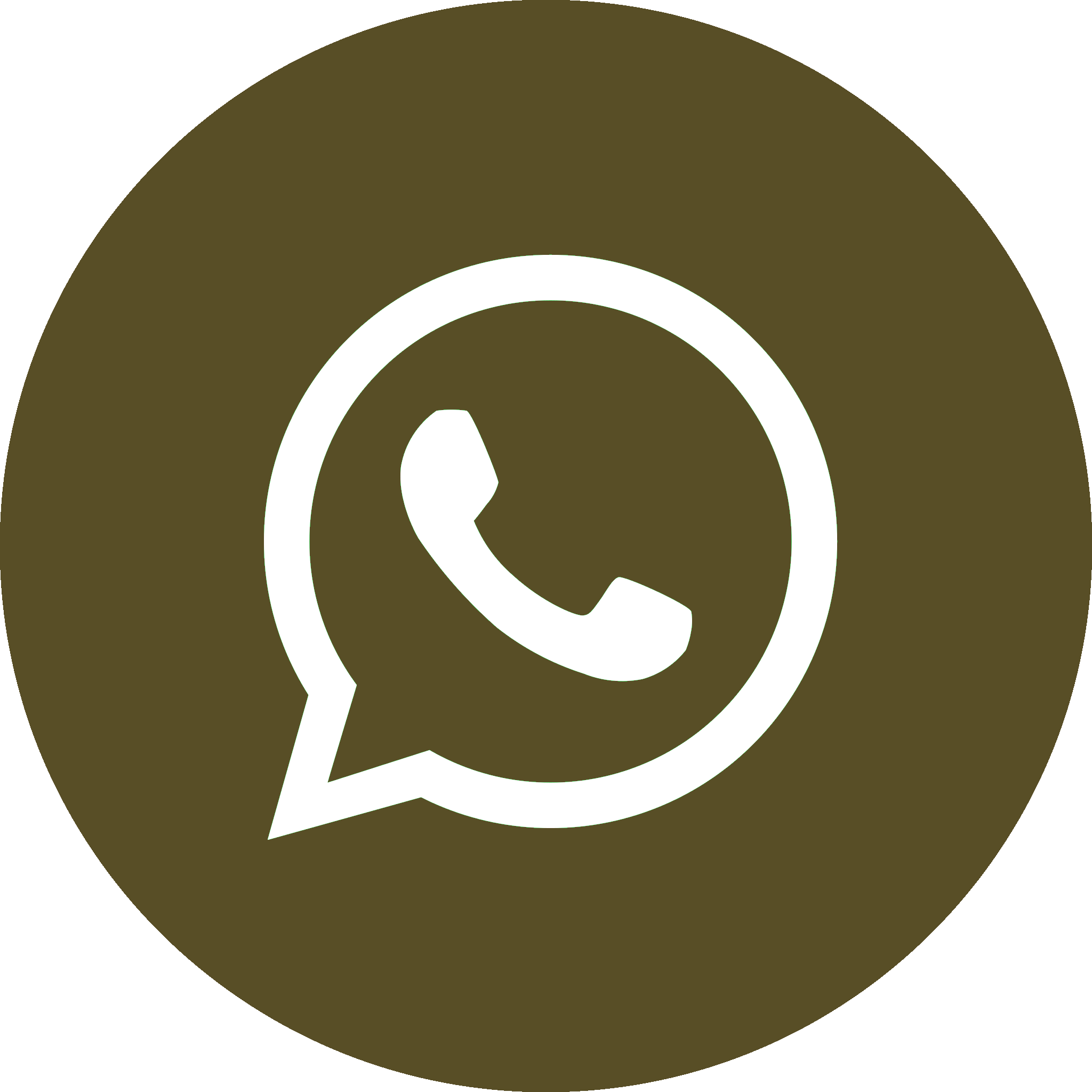 2062095_application_chat_communication_logo_whatsapp_icon.svg (1).png