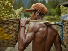 Kawah Ijen sulfur miners
Sulfur mines of Kawah Ijen
Kawah Ijen East Java
Ijen crater sulfur miners
Kawah Ijen photography
Sulfur mining Indonesia
documentary photography Indonesia
humanitarian photography
social impact photography
storytelling photography
human resilience photography
photojournalism Indonesia
East Java travel photography
volcanic landscapes Indonesia
blue fire Kawah Ijen
life of sulfur miners
traditional labor Indonesia
photography with purpose
compassion through photography
ethical travel photography
cultural preservation photography
empowering communities Indonesia