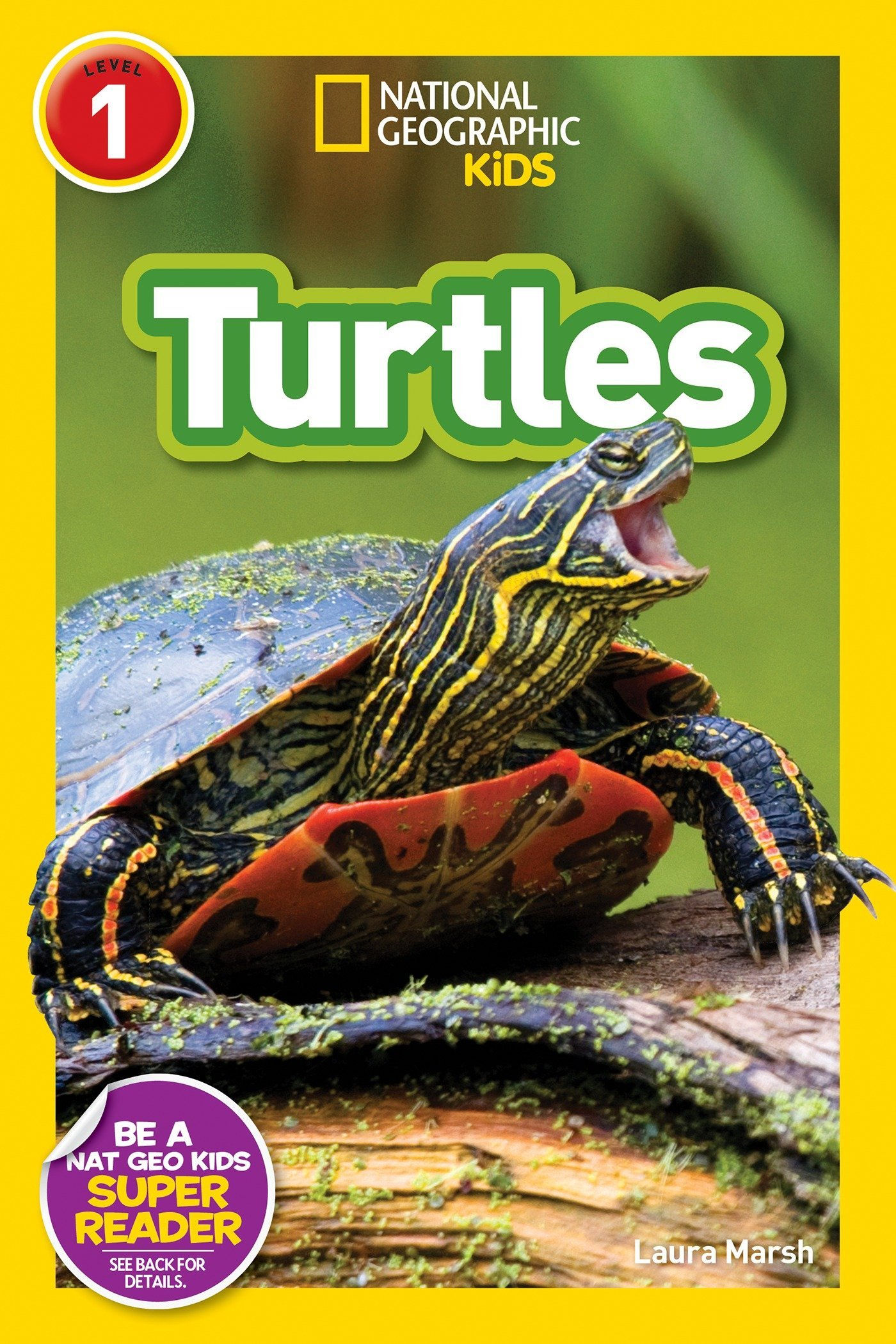 National Geographic Readers: Turtles (L1)