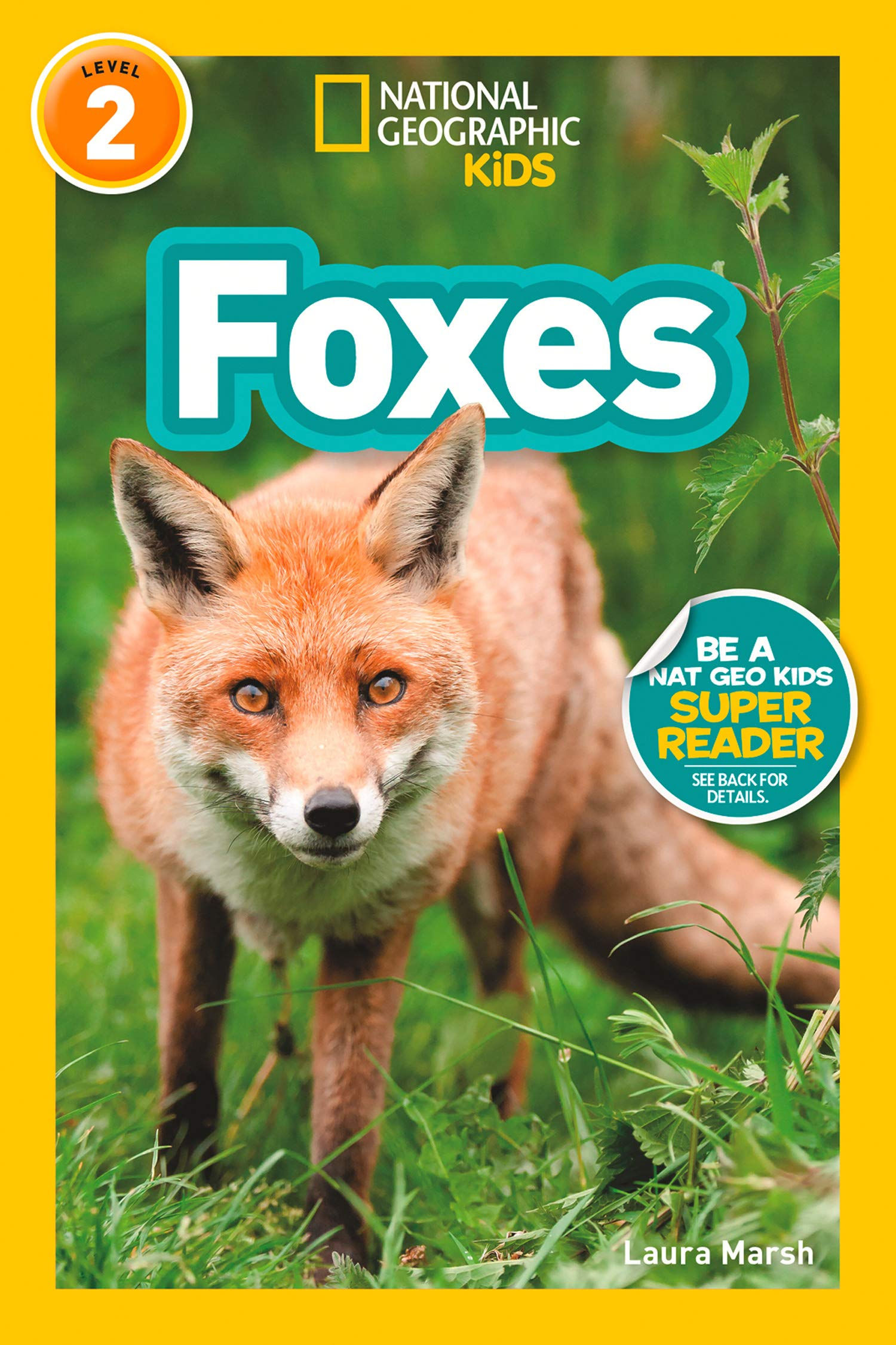 National Geographic Kids Readers: Foxes (Level 2)