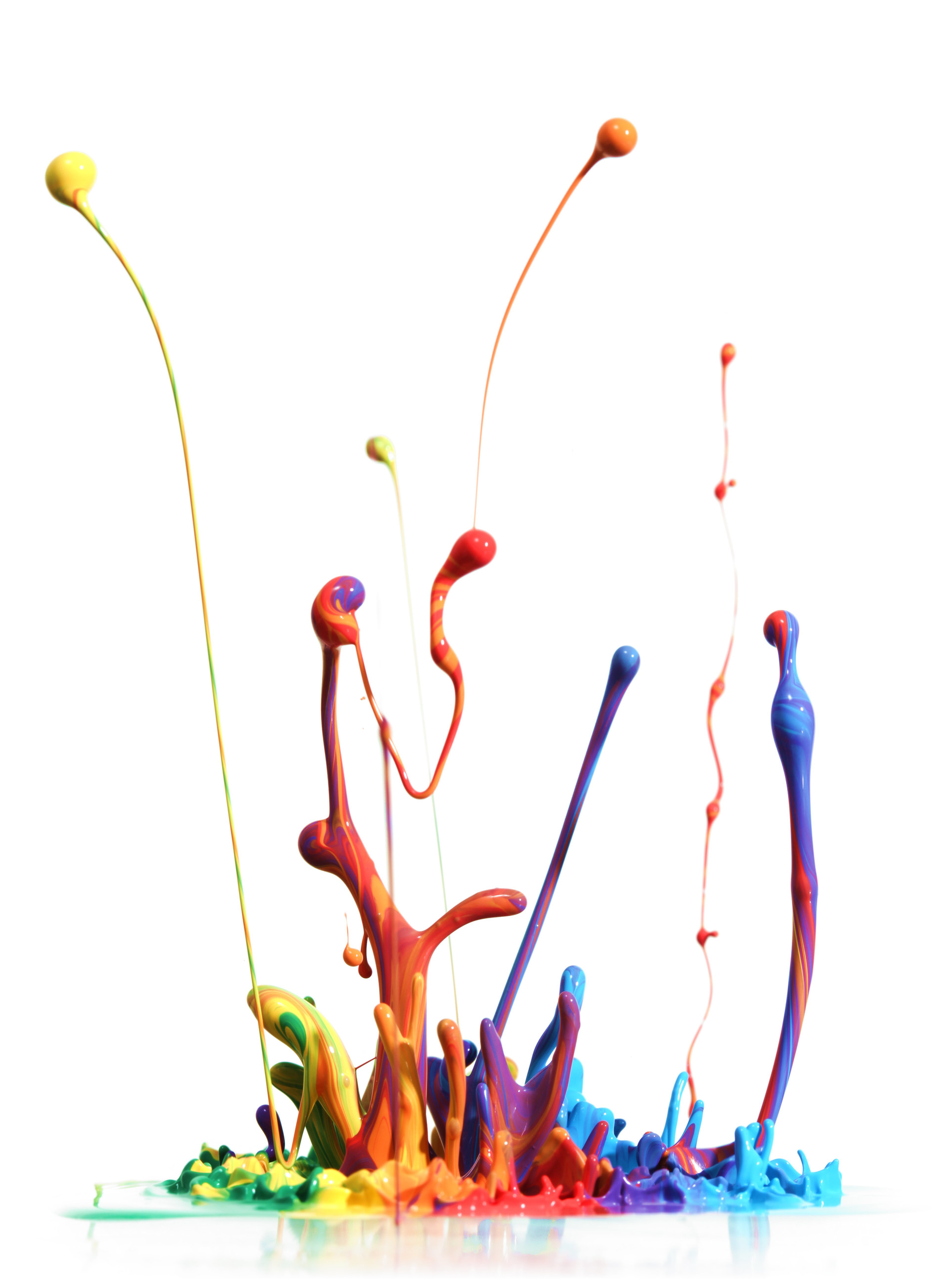 untitled image
