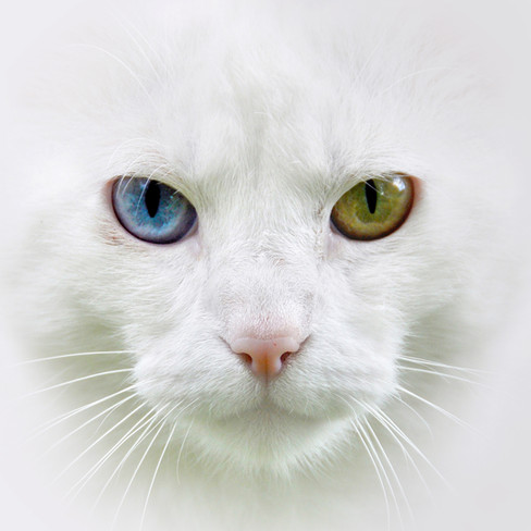 AdobeStock_69383992.jpeg
