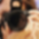 Starved Rock Photography Show - Entries Due