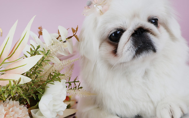 IMG_1747 明るさ上げ.jpg