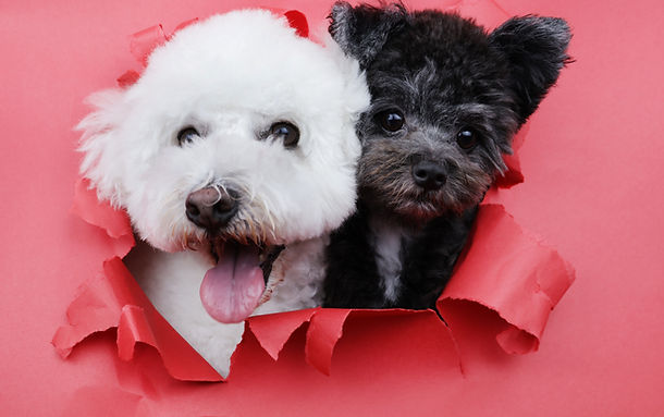 IMG_1375 明るさ上げ.jpg