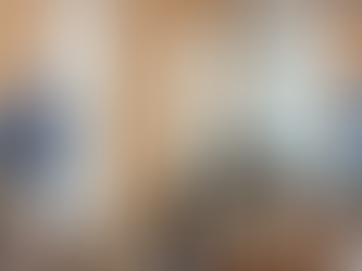 Income Diversification