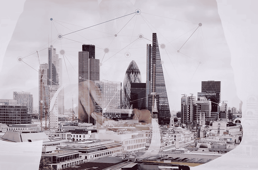 ZyloDigitalNetworkGrowth