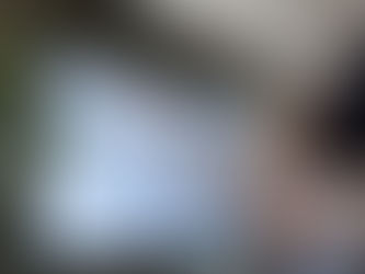 Agile Governance - Reimagining Policy Making