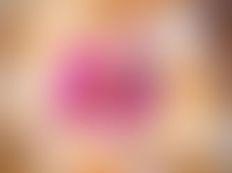 Hybrid Project Management - the Hybrid Manifesto