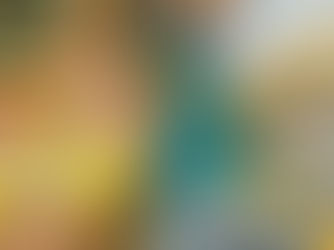 What is in the Discplined Agile Toolkit?