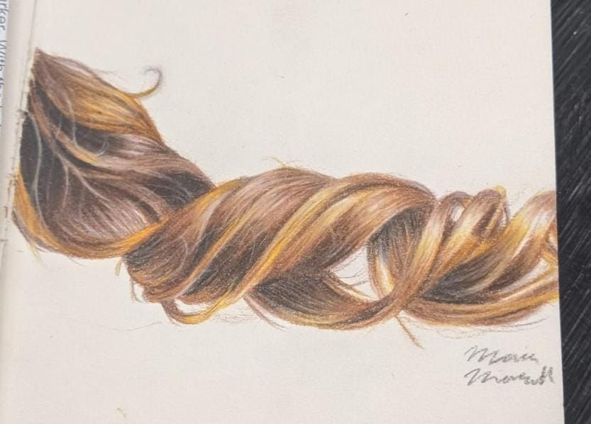 Colored Pencil Anatomy Study