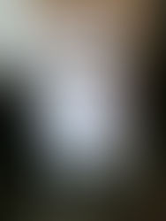 Burglary of Habitation (Nolan)