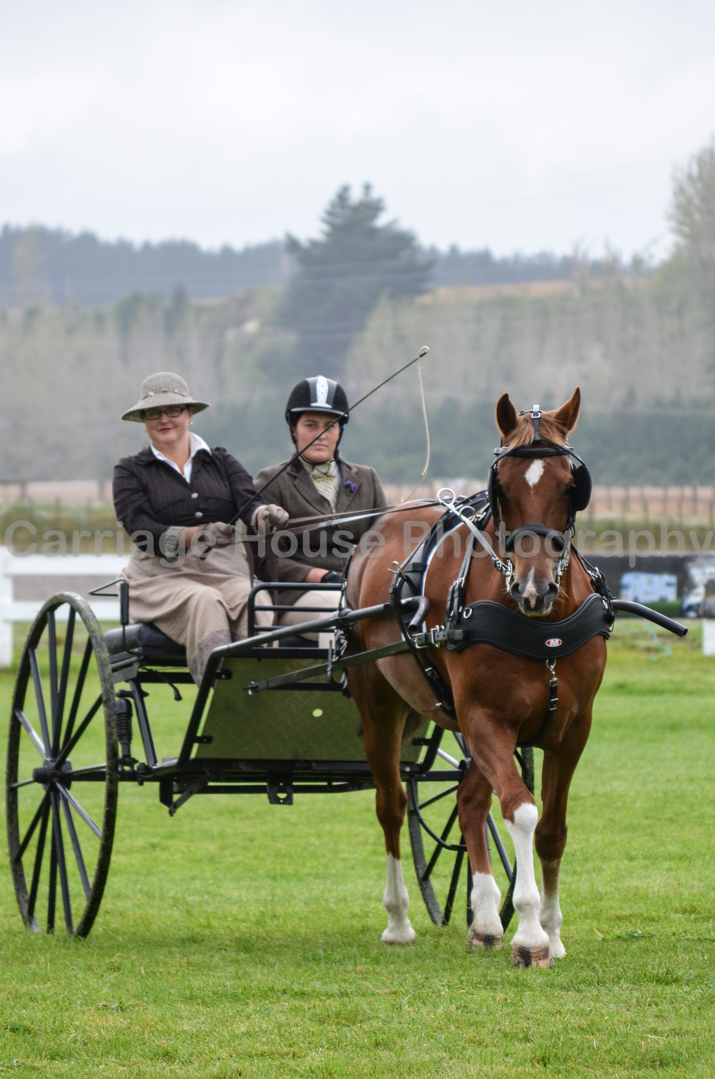 CHP_24.01.2015-25.jpg