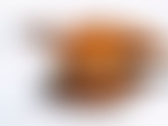 macroPHOTOGRAPHY - Portfolio