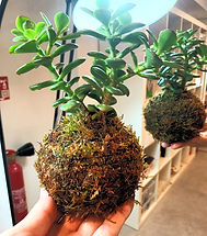 IMG-20250627-WA0006_edited.jpg