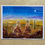 Thumbnail: "Saguaro" Desert Dance Paper Print