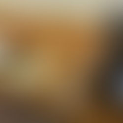 NPO法人に生まれ変わりました！