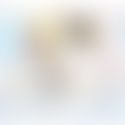 ミラフィールがやってきた！