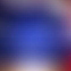 世界旅行に行ったよ♪