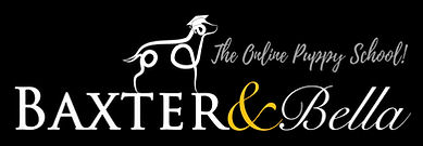 B&B PARTNERS Logo WHITE.jpg