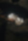 IMG_0048.jpeg
