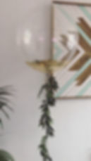 image2 3.jpeg