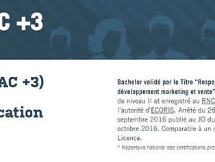 Où préparer un bachelor marketing & communication