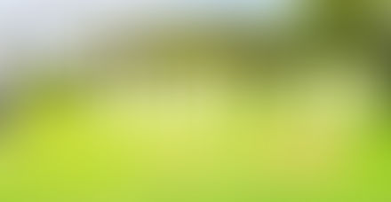 Grand choix de trampoline à petits prix