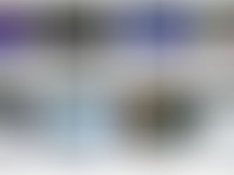 Une gamme professionnelle de protections auditives