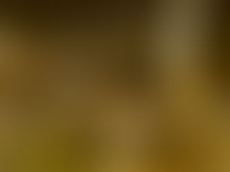 Pour bien diner dans le 8eme arrondissement