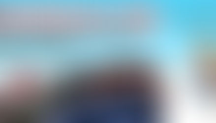 Chesterfield : large choix de tailles et de couleurs