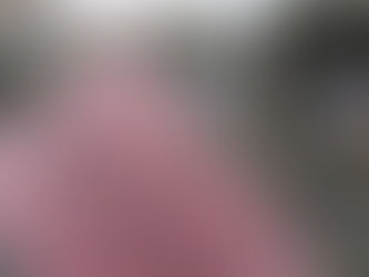 Stages récupération de points : Centres et Prix