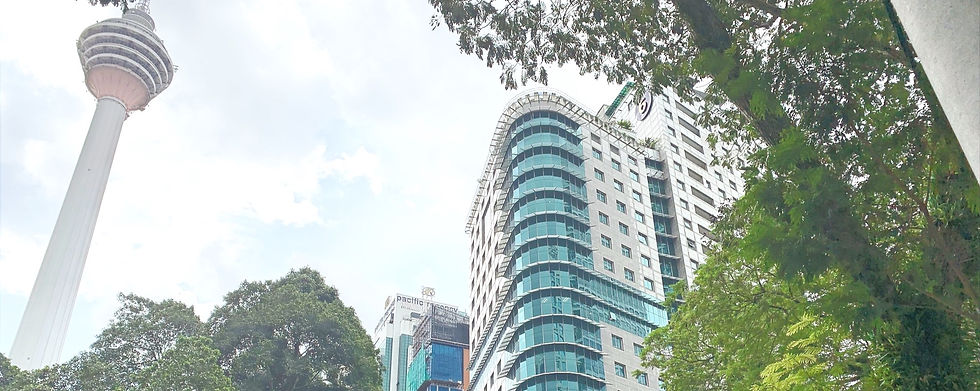 IMG_3300 (1)_edited.jpg