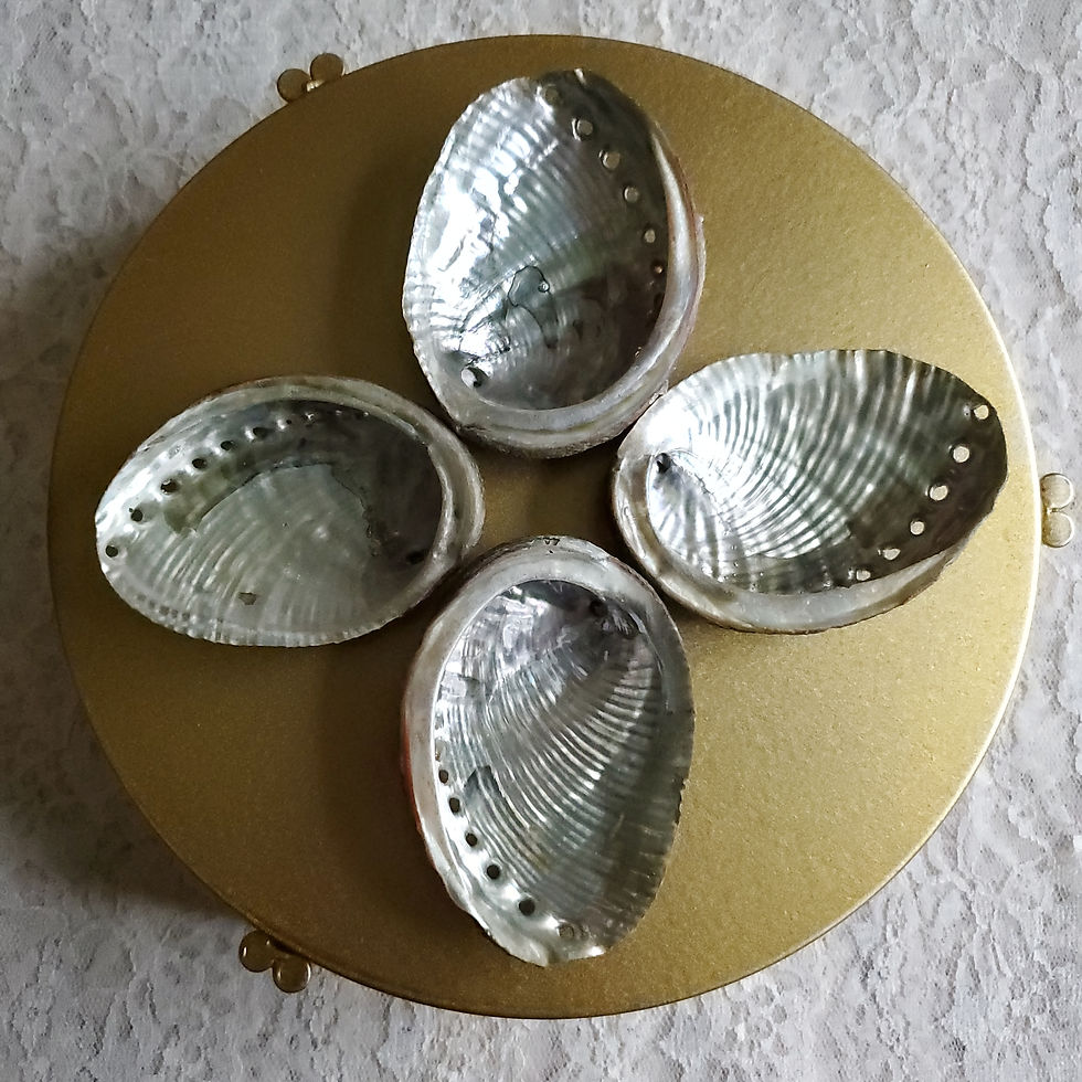Thumbnail: Abalone Shell