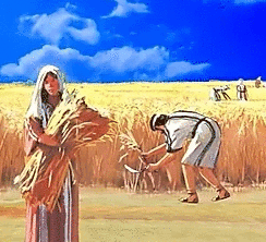 отсчет омера---......gif