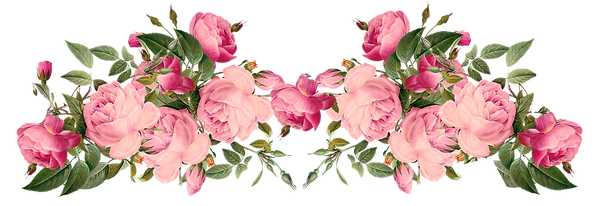 vines-flower-17.png