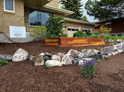 Redwood Garden Bed & Xeriscape