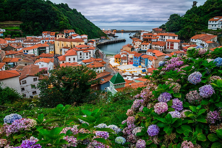 Asturias_edited.jpg