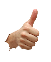 pngwing.com (27).png