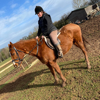 Horse Riding, Neglected Horse