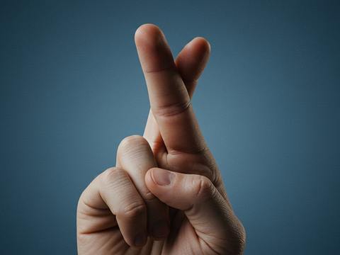 Help Wings and Paws Rescue Win the Discount Promo Codes Charity Poll This April!