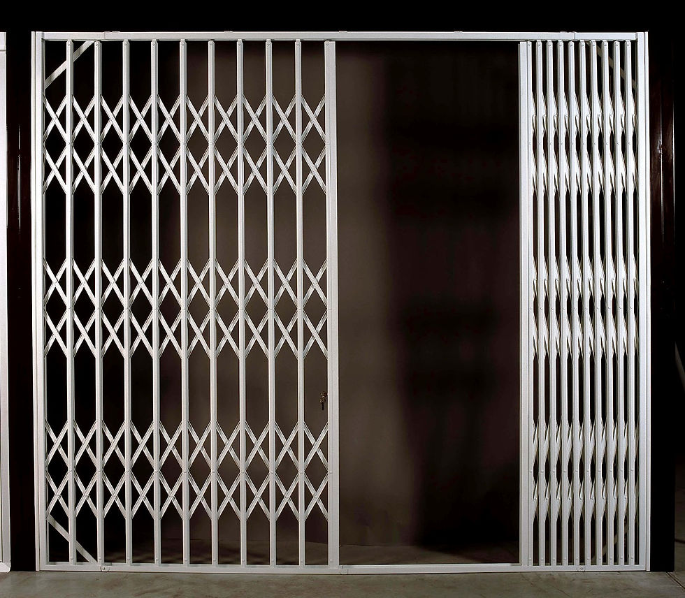 Pantográfica 2 folhas