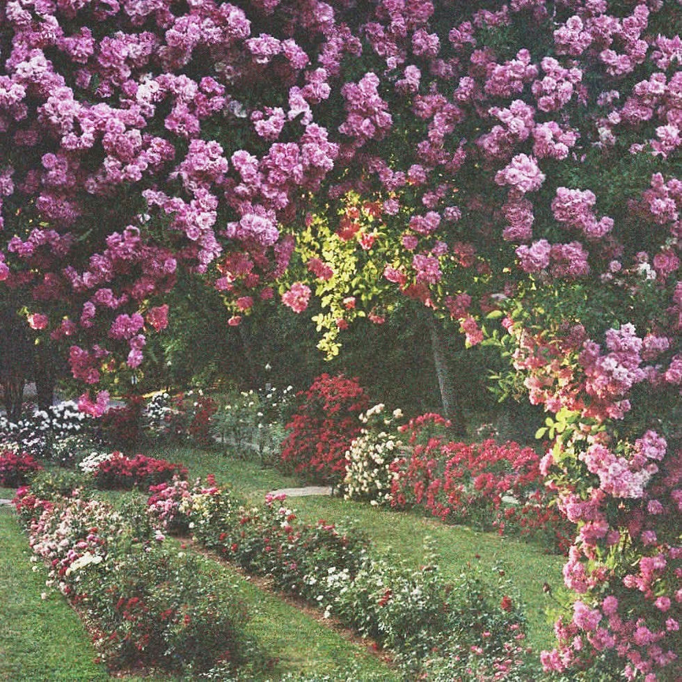 SINGLE REVIEW & LOCAL SPOTLIGHT: Death by Indie releases single "Brandywine" exclusively on Bandcamp.