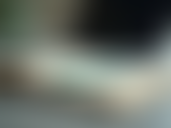 Insights into International Careers: Expert Advice and Tips