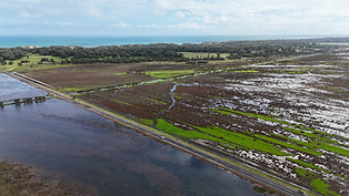 BCH Hero (Tidal Marsh).png