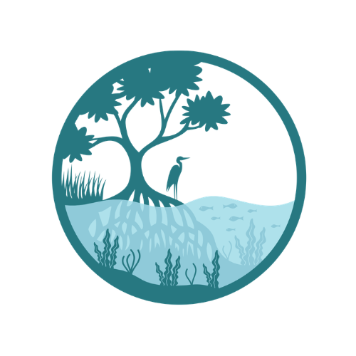 Writer: Blue Carbon Hub