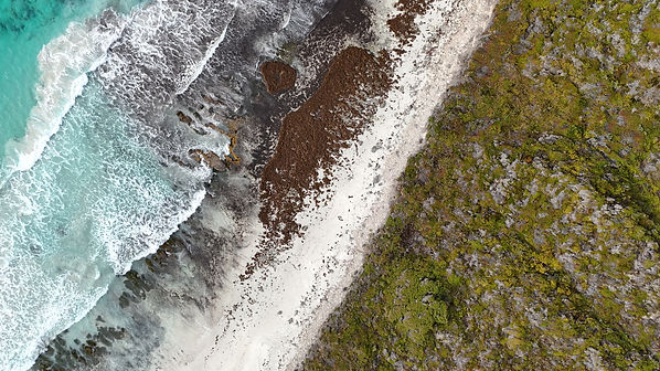 Drone photo of shoreline