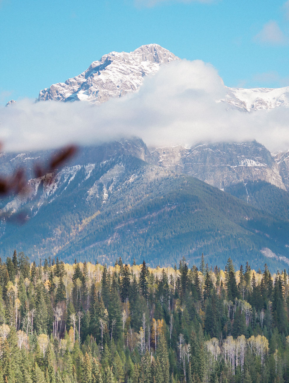 View at Hillside Lodge by Elora May Creative