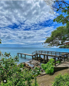 f084c3f0-5c2e-48dd-abee-44b426d01997.jfif